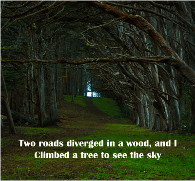 06:29:15-ClimbedATree.Diverged.1